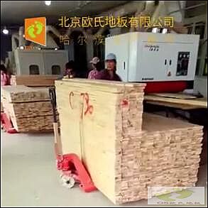 歐氏地板生產廠運動木地板制作工藝